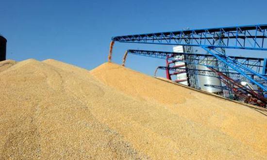 臭氧在倉儲業(yè)中的應(yīng)用